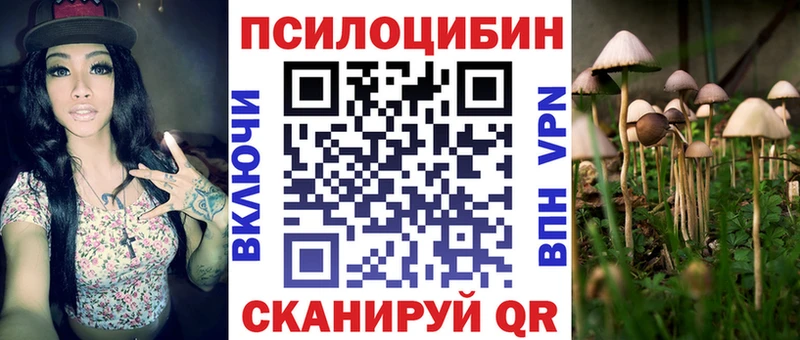 Купить где  Всеволожск  Галлюциногенные грибы GOLDEN TEACHER 